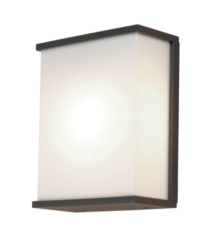 Torsten 1 Light Large Wall Light